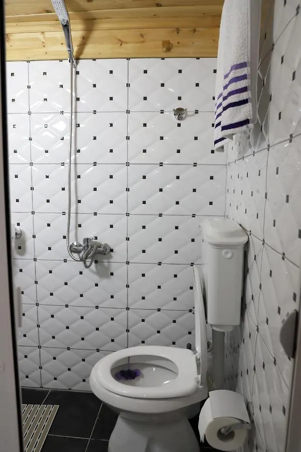 Guest House Maria - Berat Castle 0*,